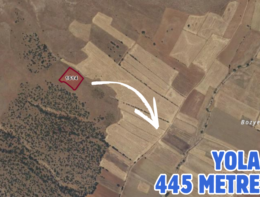 KONYA KADINHANI ŞAHÖREN 6.100 M² TARLA SATILIKTIR - KONYA KADINHANI fotoğraf 3